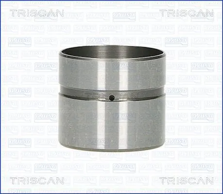 TRISCAN 80-43002
