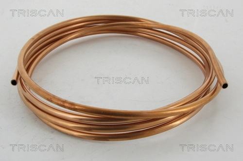 TRISCAN 8105 5010