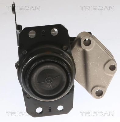 TRISCAN 8505 11208