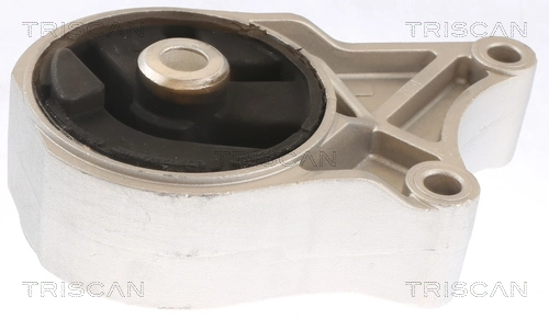 TRISCAN 8505 10110