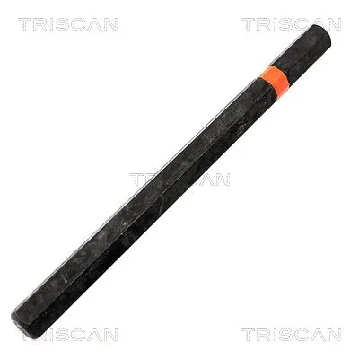 TRISCAN WSP-003K-BIT-L
