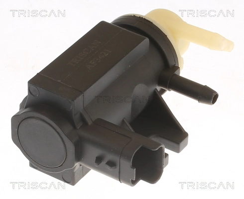 TRISCAN 8813 10041
