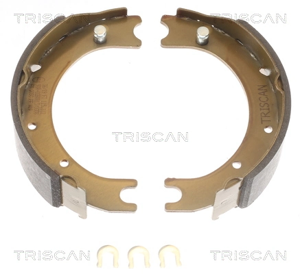 TRISCAN 8100 13036
