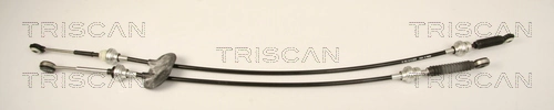 TRISCAN 8140 10712
