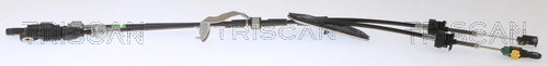 TRISCAN 8140 13714