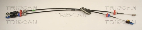 TRISCAN 8140 10704