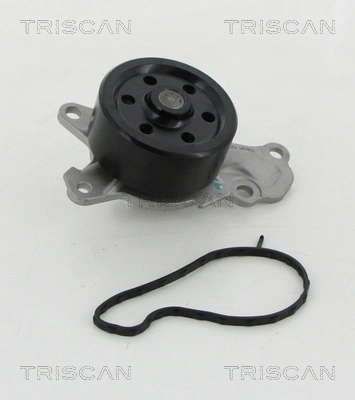 TRISCAN 8600 10039