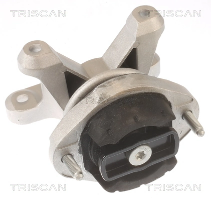 TRISCAN 8505 29202