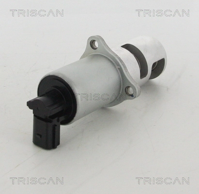TRISCAN 8813 10100