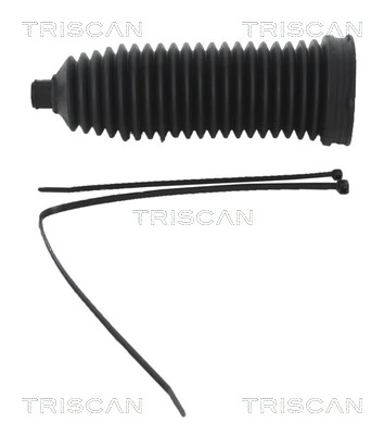 TRISCAN 8500 10038