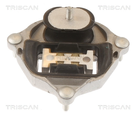 TRISCAN 8505 29215