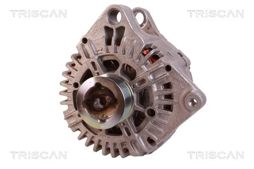 TRISCAN 8305 23003