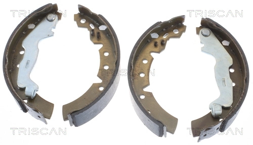 TRISCAN 8100 13031