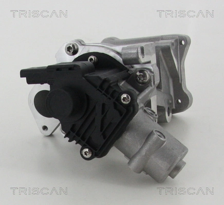 TRISCAN 8813 10007