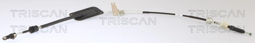 TRISCAN 8140 69701