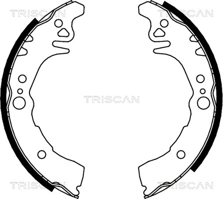 TRISCAN 8100 10026
