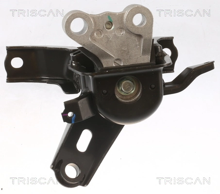 TRISCAN 8505 13101