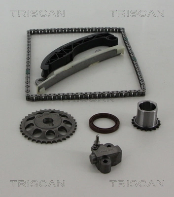 TRISCAN 8650 10011