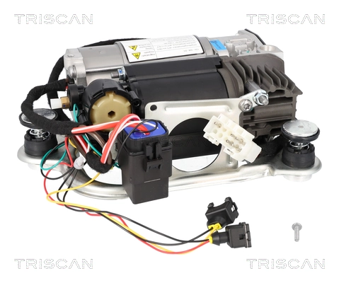 TRISCAN 8725 11106