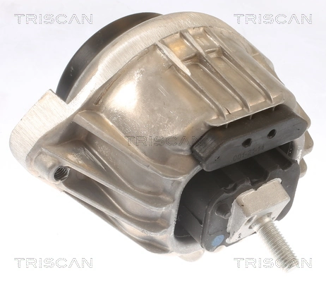 TRISCAN 8505 11105