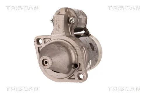 TRISCAN 8305 29038