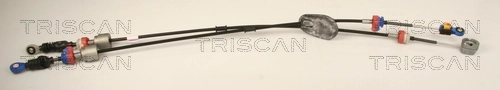 TRISCAN 8140 14703
