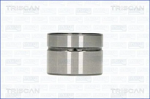 TRISCAN 80-10002