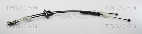 TRISCAN 8140 10725