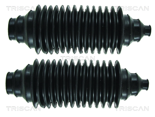 TRISCAN 8500 210