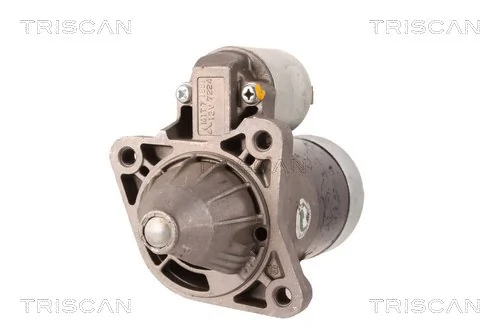 TRISCAN 8305 24012