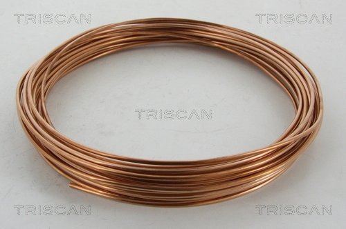 TRISCAN 8105 5025
