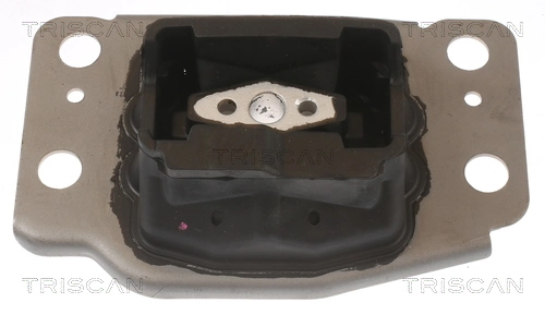 TRISCAN 8505 10137