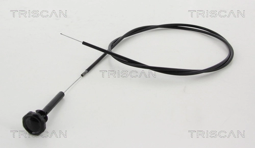 TRISCAN 8140 38601