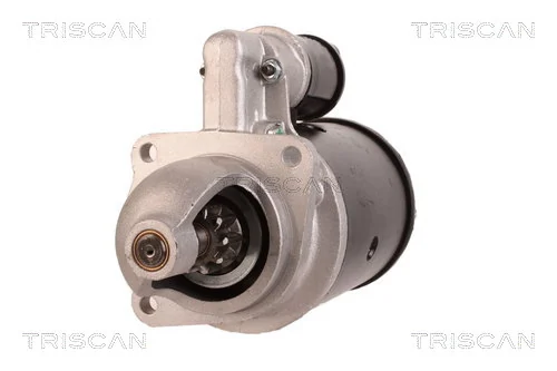TRISCAN 8305 29060