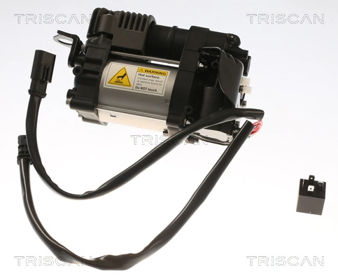 TRISCAN 8725 27101