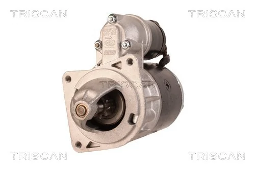 TRISCAN 8305 29015