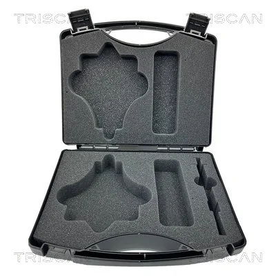 TRISCAN 3010