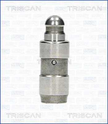 TRISCAN 80-24003