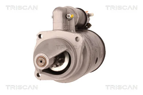 TRISCAN 8305 11001