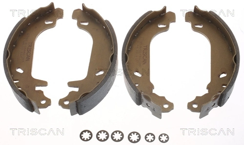 TRISCAN 8100 10545