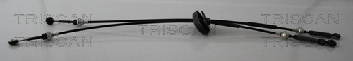 TRISCAN 8140 10719