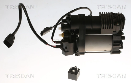 TRISCAN 8725 29103