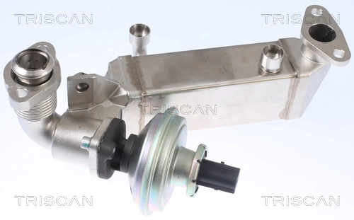 TRISCAN 8813 11009