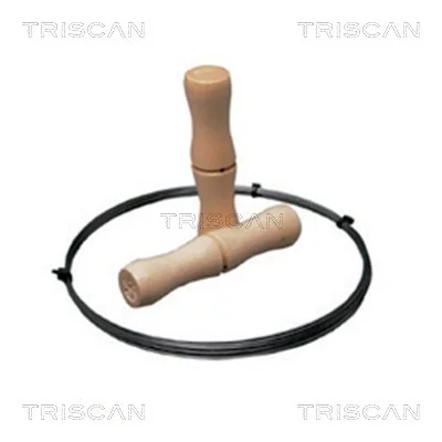 TRISCAN R840015