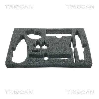TRISCAN 4030