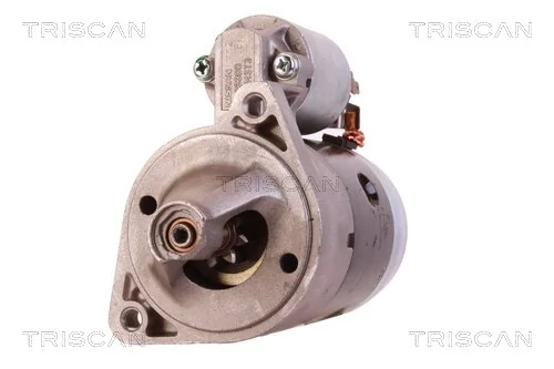 TRISCAN 8305 10061