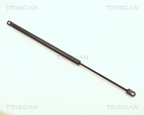 TRISCAN 8710 1102
