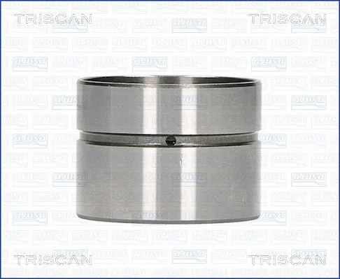 TRISCAN 80-29003