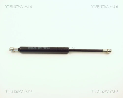TRISCAN 8710 1010