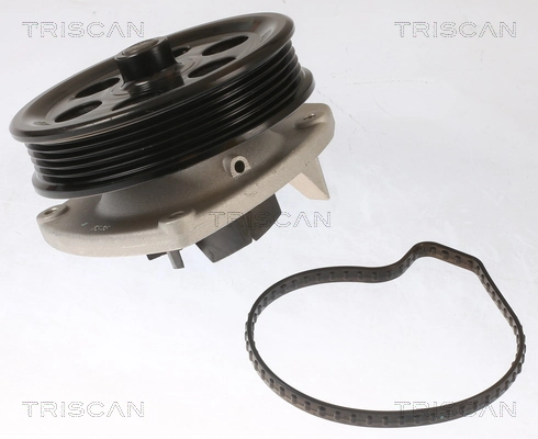 TRISCAN 8600 10087